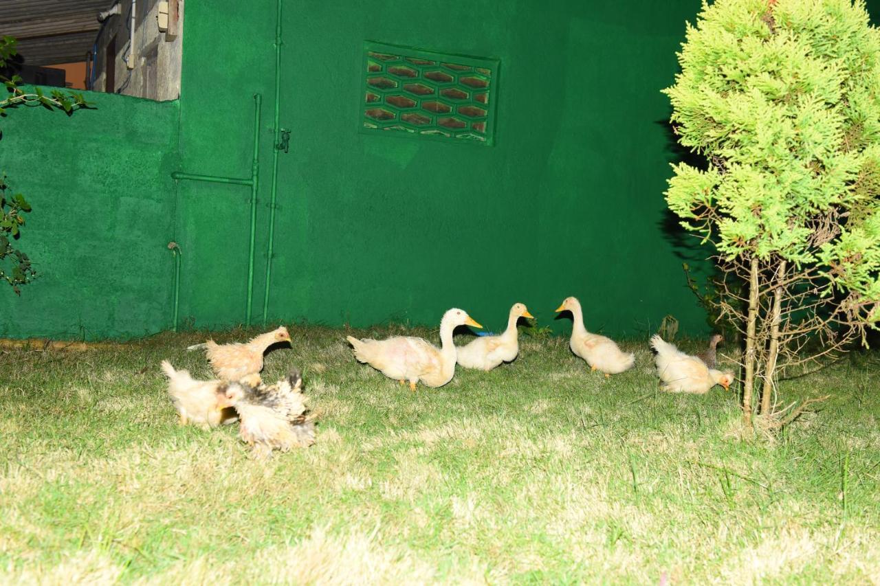 K G N Farmhouse Kundapur Exterior foto